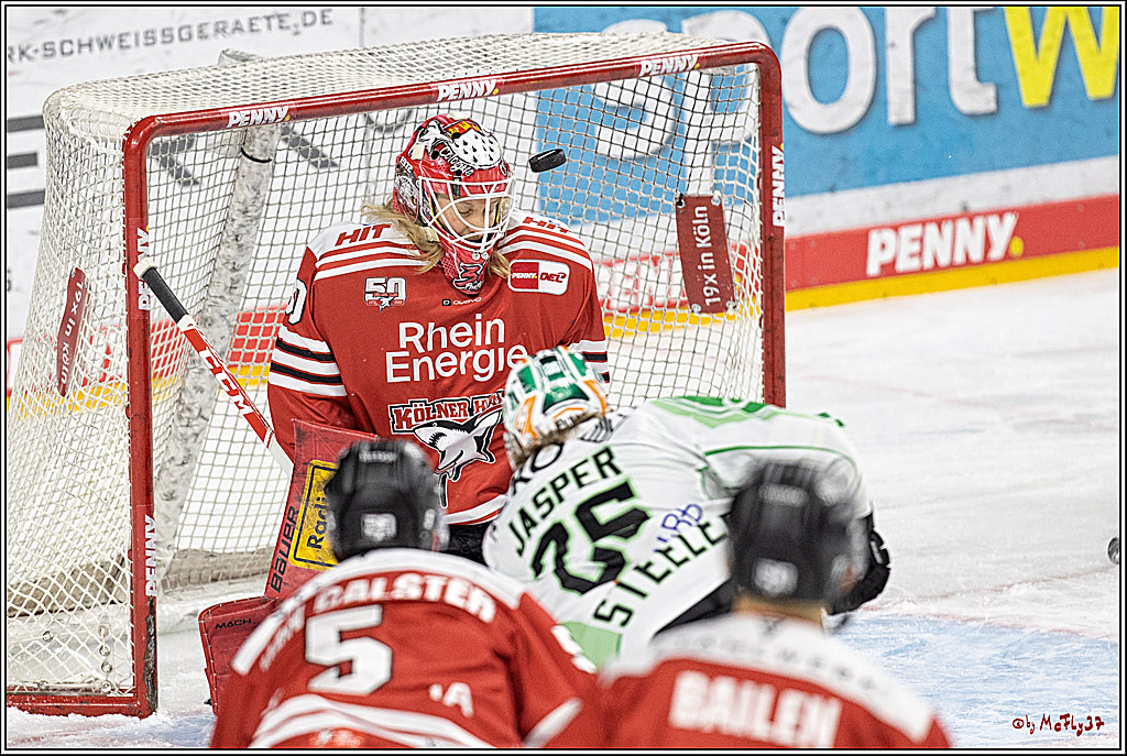 PENNY DEL;  Koelner Haie - Bietigheim Steelers; Koeln, 22.01.2023